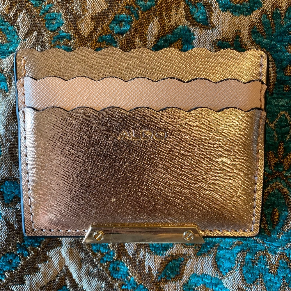 Aldo Card Case